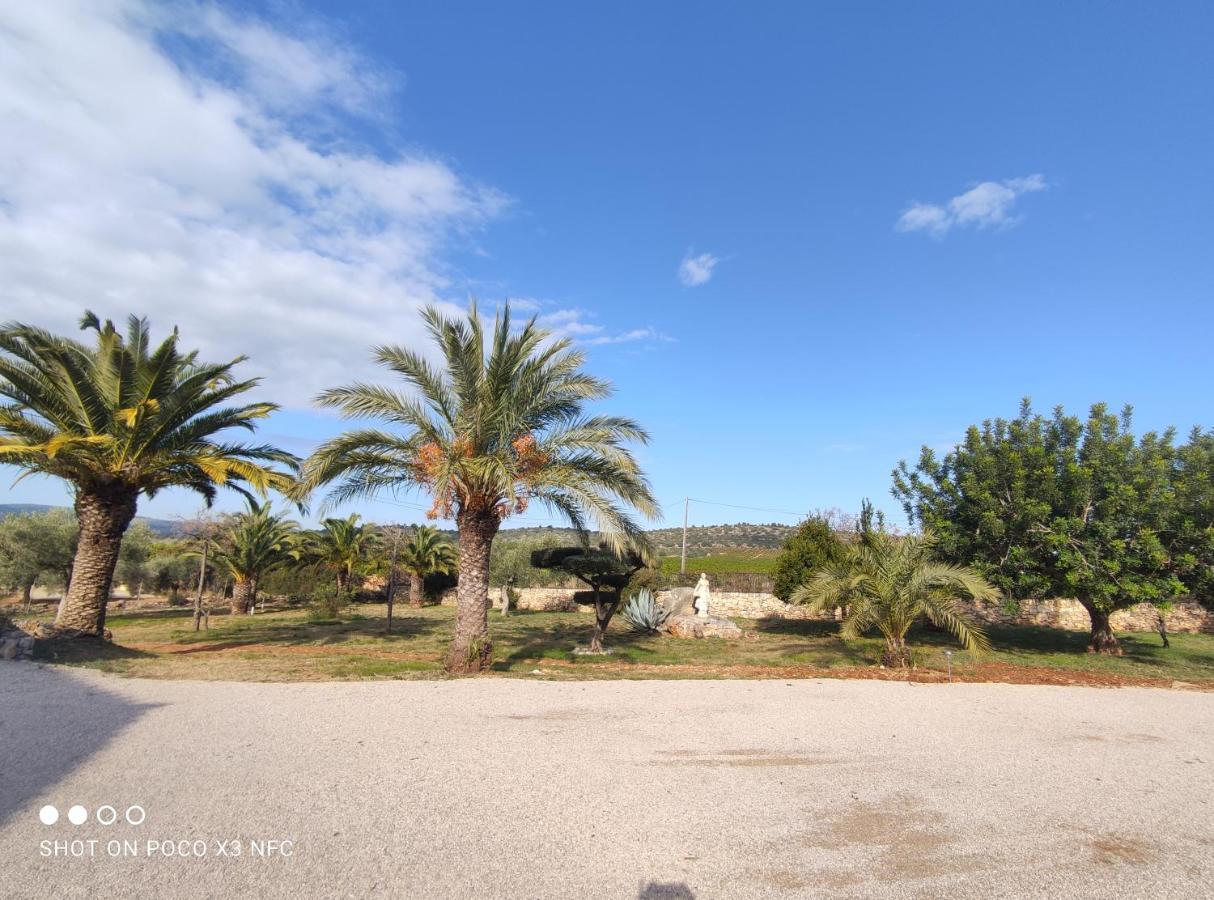 Finca Tierra Roja Cálig Εξωτερικό φωτογραφία
