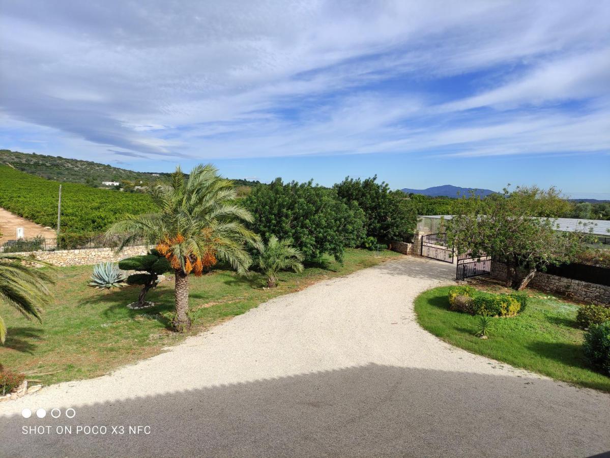 Finca Tierra Roja Cálig Εξωτερικό φωτογραφία